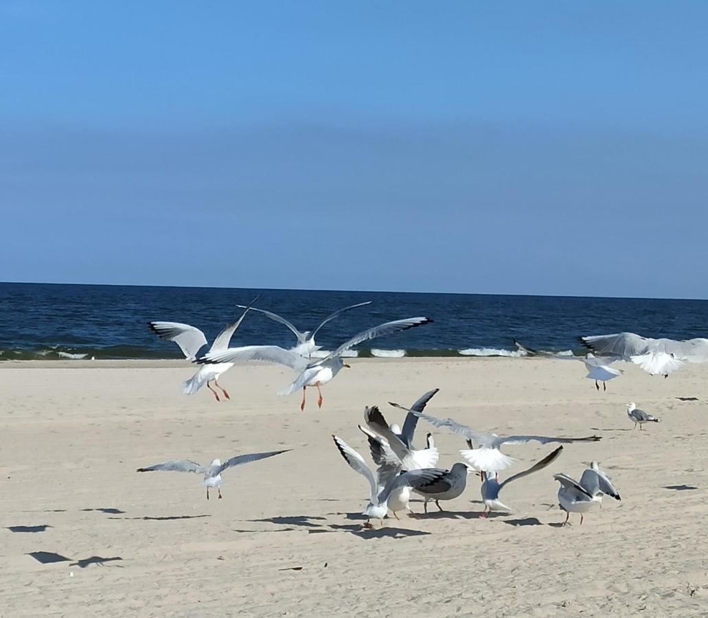 Ferienwohnung Strand25 Трасенхайде Екстериор снимка