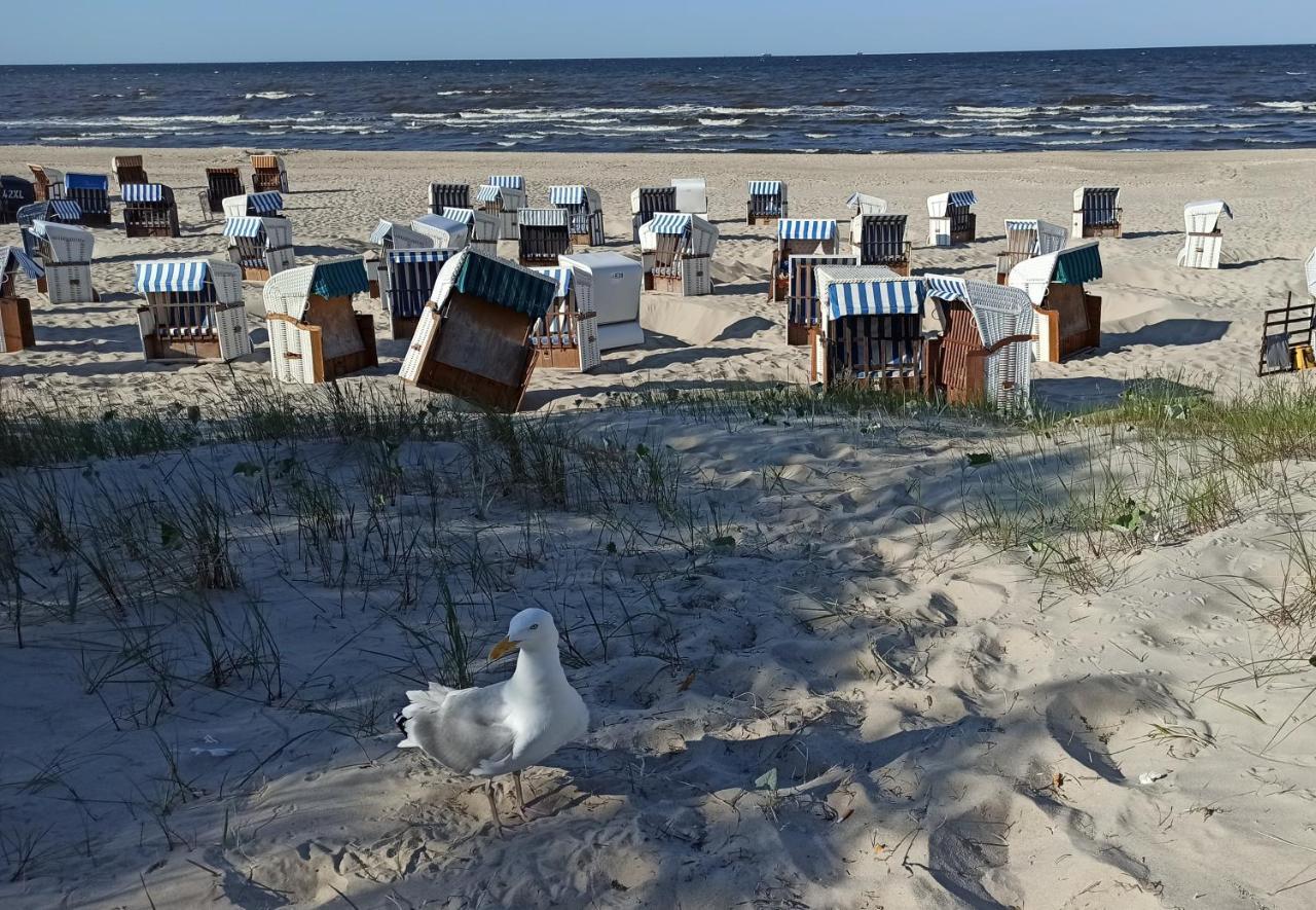 Ferienwohnung Strand25 Трасенхайде Екстериор снимка